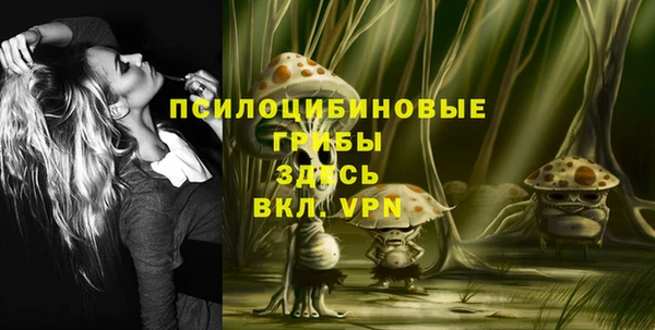 apvp Алексин